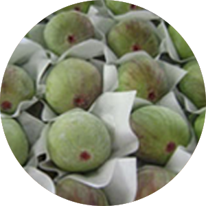 Figs